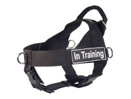 dog-harness-ultimate-control-h17-all-weather-multi-tasking-in-training (1)